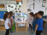 Dzień Drzewa 2021, Nauczycielki w Przedszkola Gminnego w Chotomowie