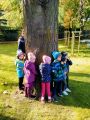 Dzień Drzewa 2021, Nauczycielki w Przedszkola Gminnego w Chotomowie